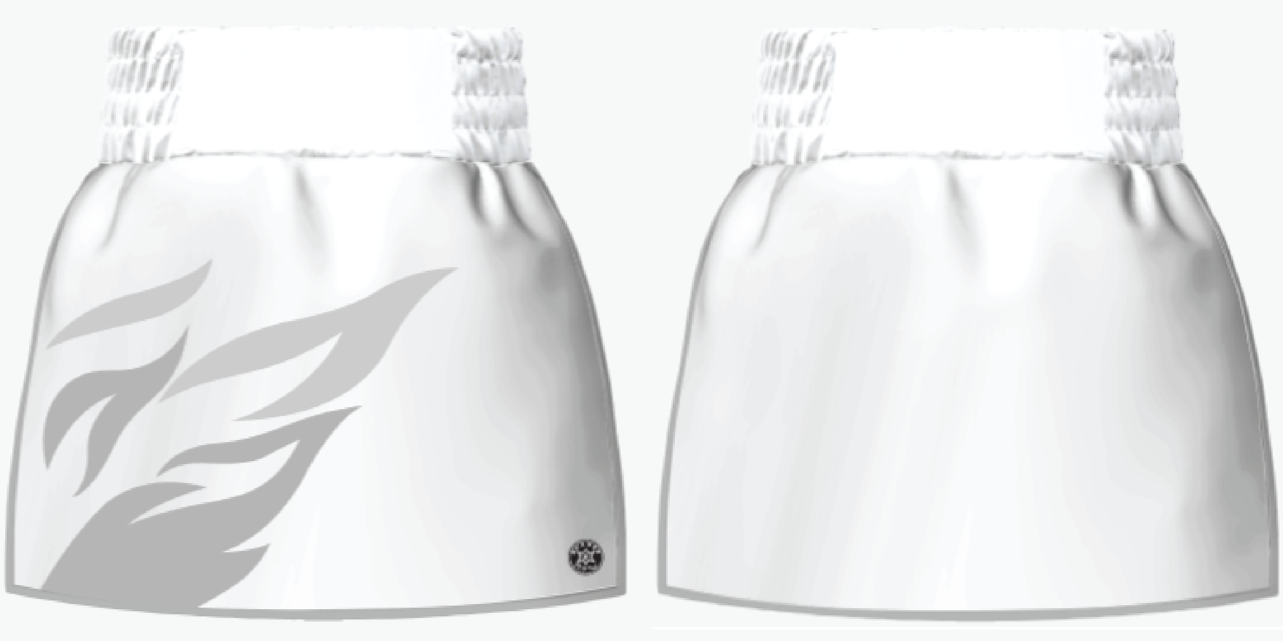 Boxxerworld Roy Jones Gladiator